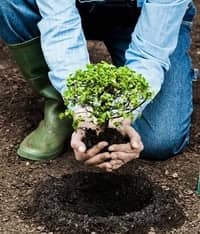 Farmer Livelihood Revitalization Project (FLRP)