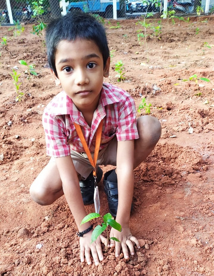 Plant a Tree